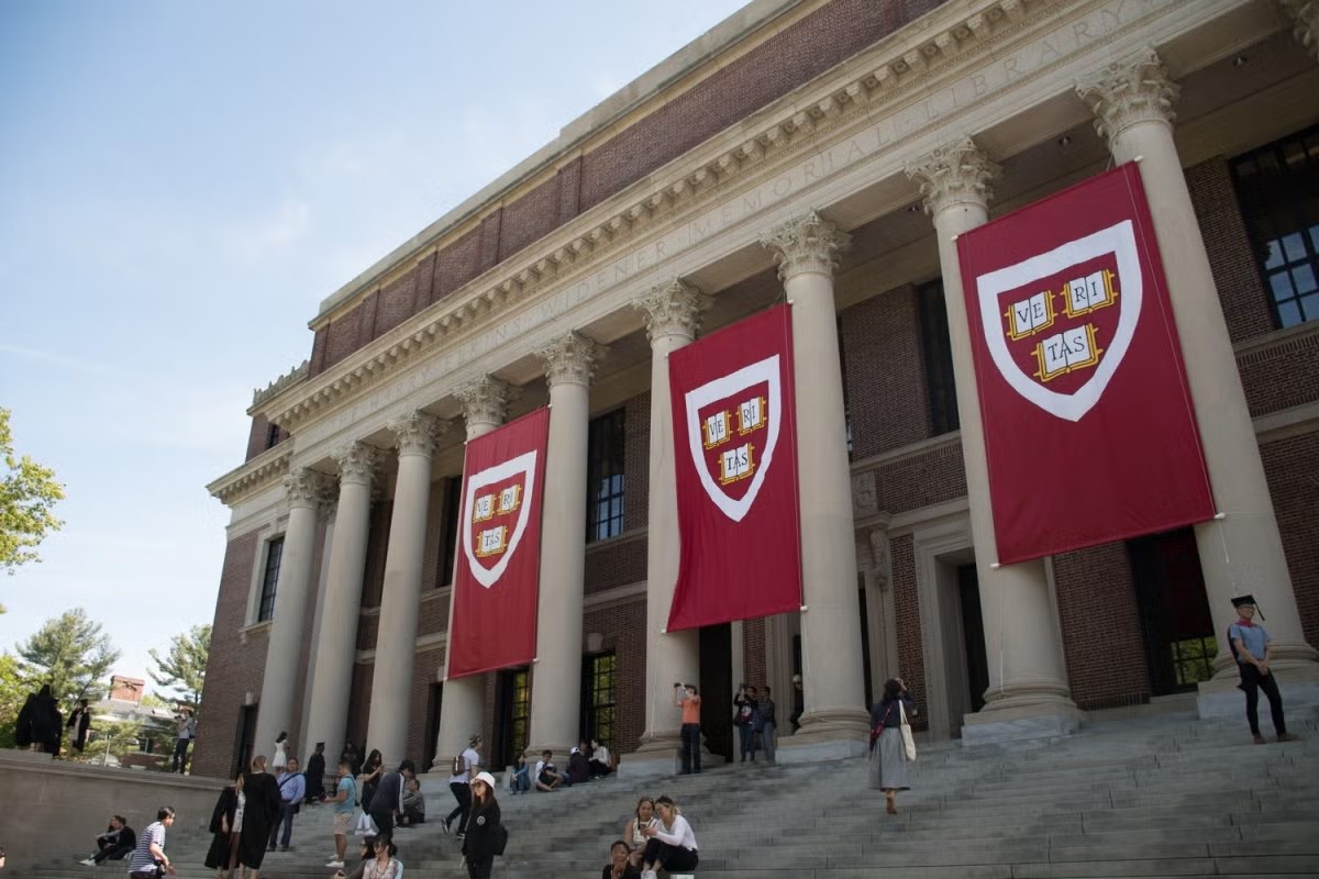 harvard ventures tech summer program